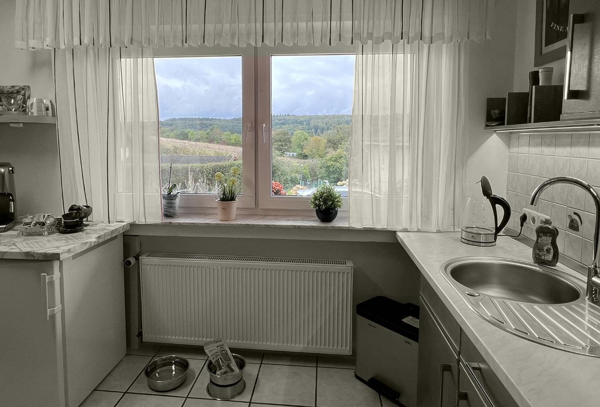 Ferienwohnung Goodtimes Hausen Uber Aar エクステリア 写真